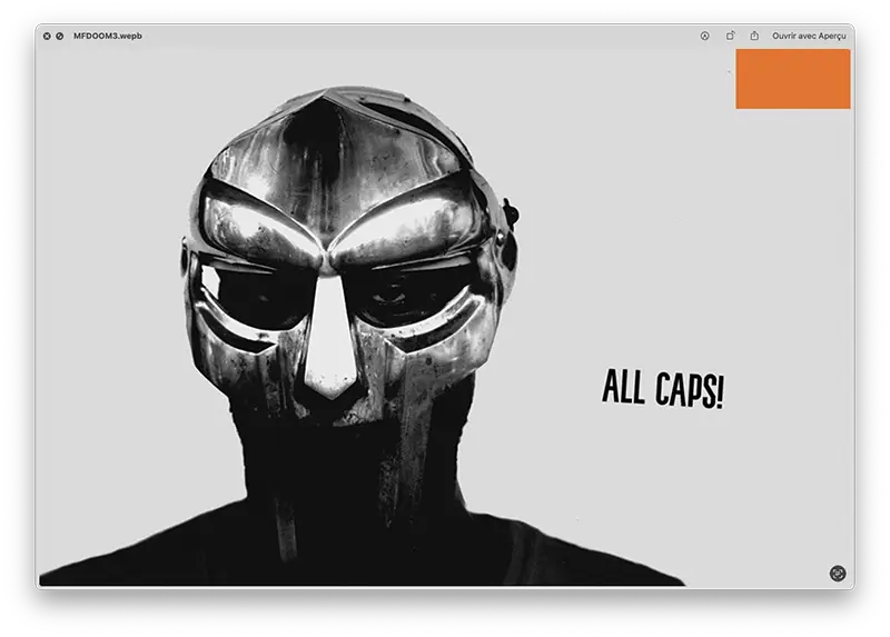 Photo mf doom 1