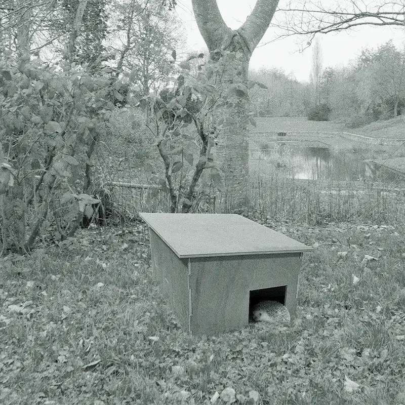 Mise en situation de l'abri dans le parc des fées